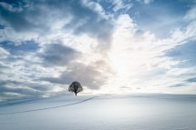 Understanding Canadian Obituaries: A Guide to Death Notices in Canada