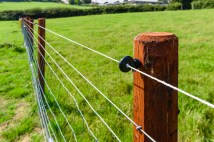 The Pros and Cons of Buying Land for Sale Privately